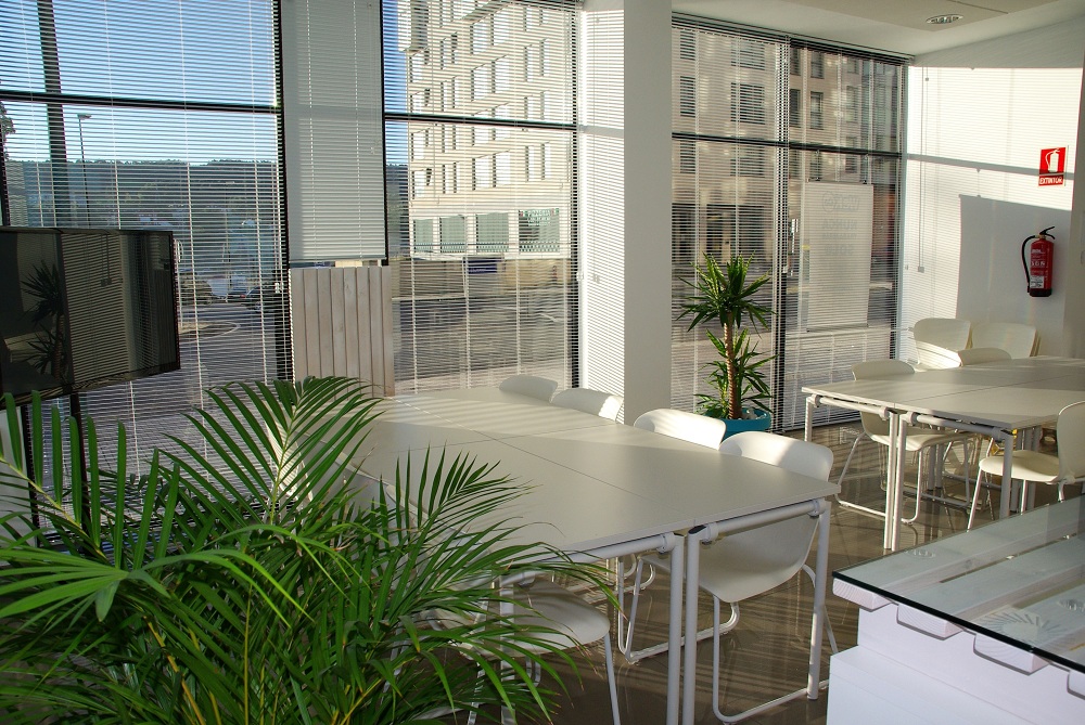 Green Office: How Simple Changes Can Help Your Company Become Eco-Friendly