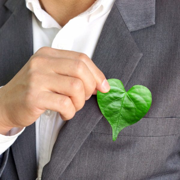 Making Your Business More Environmentally Friendly