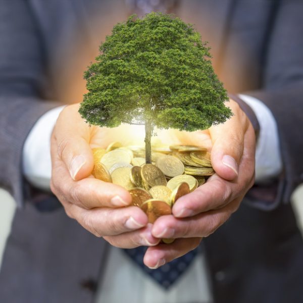 Why Sustainability is Important for Businesses