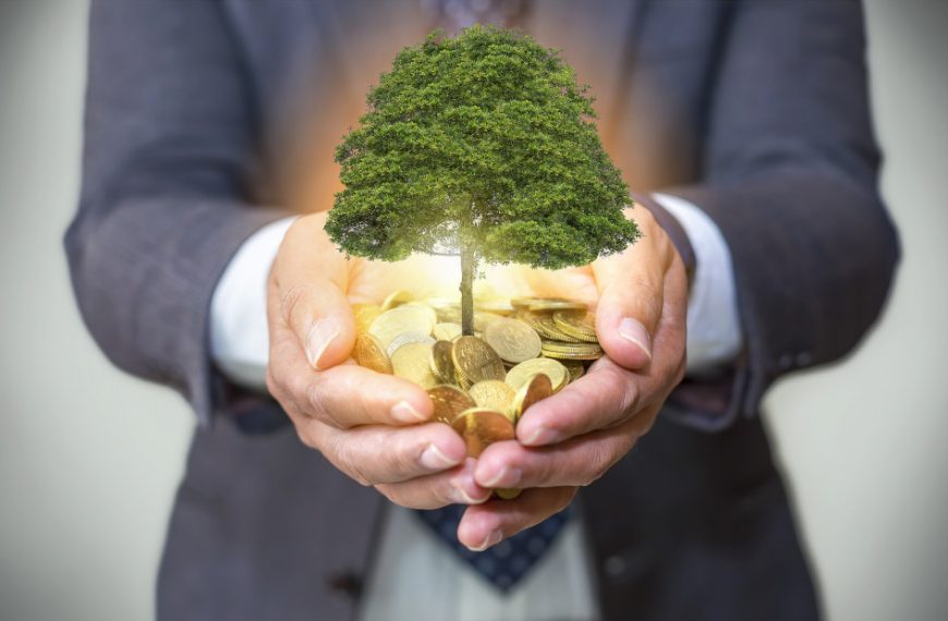 Why Sustainability is Important for Businesses