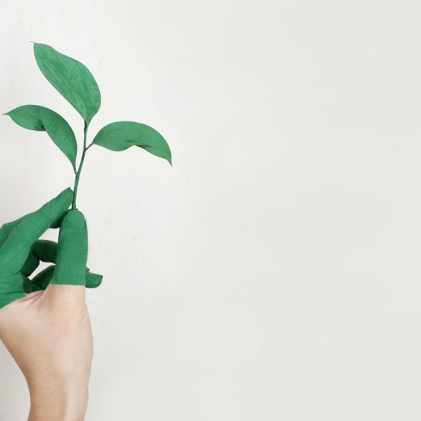 5 Tips for Transitioning to an Eco-Friendly Business