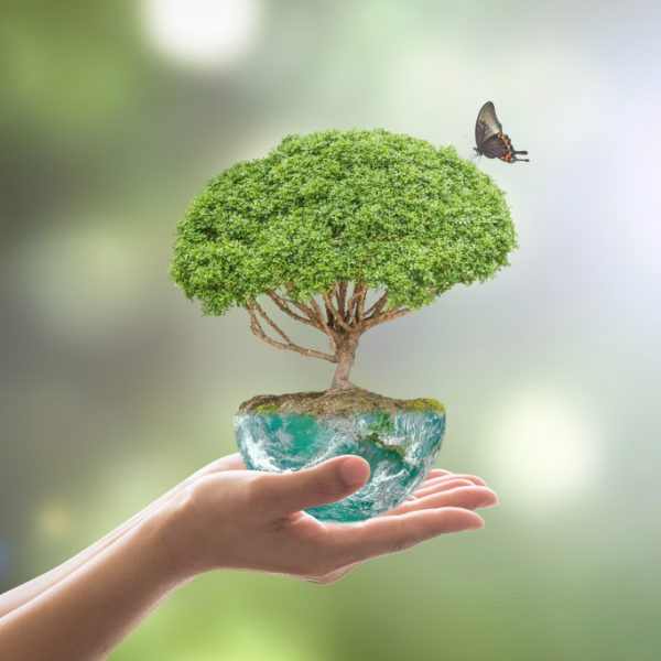 person holding an orb representing the planet with a tree and a butterfly above it