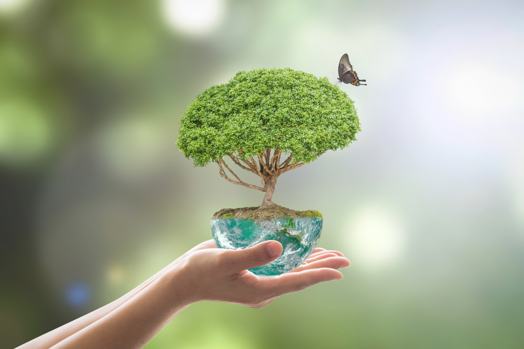 person holding an orb representing the planet with a tree and a butterfly above it