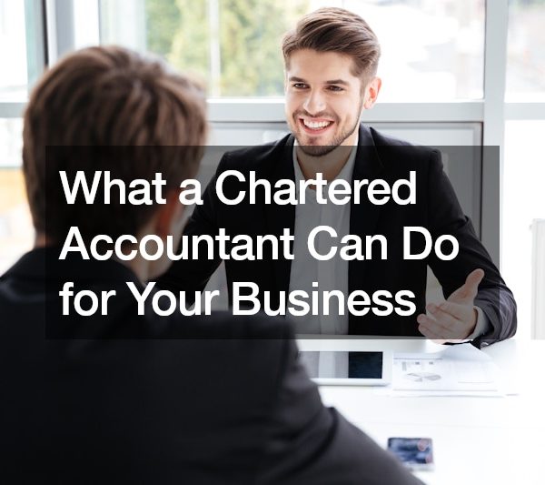 What a Chartered Accountant Can Do for Your Business