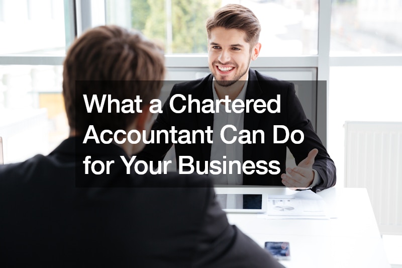 What a Chartered Accountant Can Do for Your Business