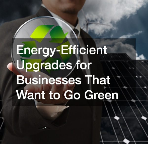 Energy-Efficient Upgrades for Businesses That Want to Go Green