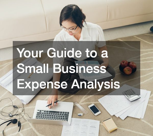 Your Guide to a Small Business Expense Analysis