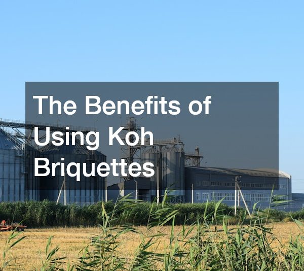 The Benefits of Using Koh Briquettes